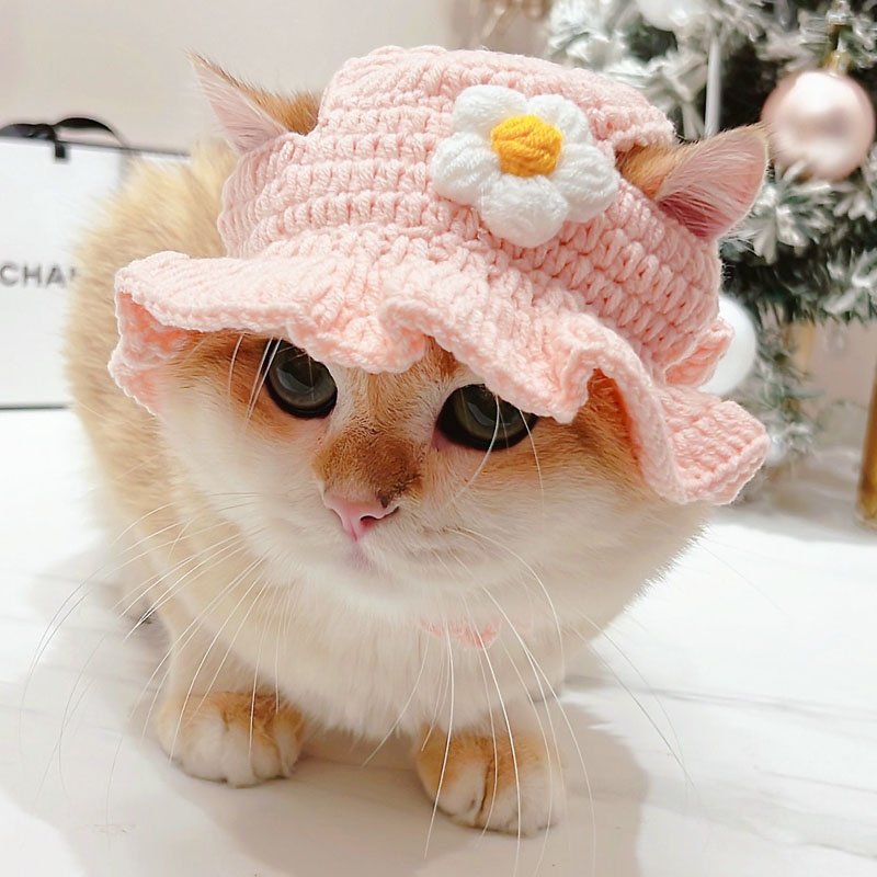 Pet Clothes